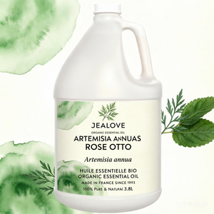 Aceite Natural de Artemisia Annua 100% Puro, Aceite Esencial de Ajenjo Dulce Destilado al Vapor, Aceite para Masajes, Extracto de Plantas - Product Image 3