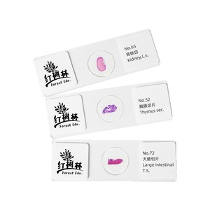 100 tipos de secciones de tejido normal, FRT2001, preparados biológicos y anatómicos de alta calidad con teñido HE. - Product Image 3