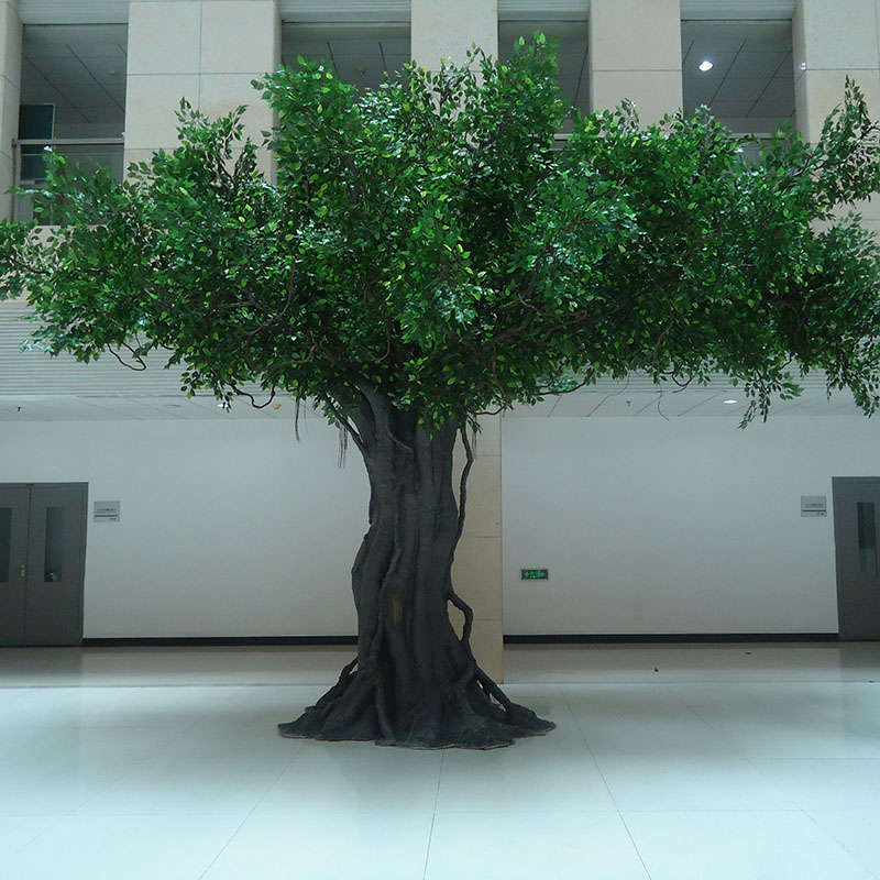 Arbre de ficus vert
