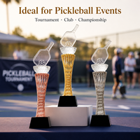 Trophée de compétition personnalisé avec plaque gravée, récompense sportive de pickleball