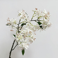 Y-183 Nieuwe Aanwinst Real Touch Kunstmatige Orchidee Hoge Simulatie Moderne Huis Bruiloft Bloemdecoratie
