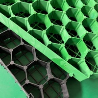 Pavés en Géogrille HDPE à Surface Plate de Type Onde Industrielle Moderne pour Jardin, Pente, Barrage, Aménagement Paysager, Parking, Allée