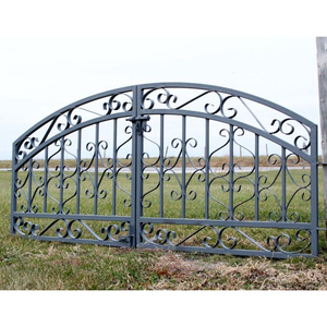 Arco de Jardín de Alta Calidad CBMmart, Diseño de Puerta de Hierro Forjado para Entrada de Casa, Puertas Francesas de Hierro Forjado - Product Image 2