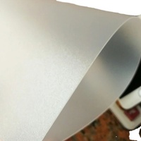 Film de verre PETG gaufré personnalisé 1mm mat 0.04 pouces pour fenêtres portes 20mm d'épaisseur impression UV traitement de découpe par thermoformage