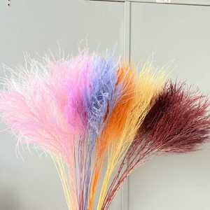 Stipa Pennata séchée romantique, herbe à plumes séchée, herbe à plumes conservée, herbe de pierre - Product Image 1