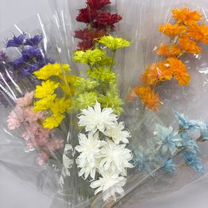 Fiori Secchi Naturali di Cereus Notturno, Bouquet Multicolore Fatto a Mano per Vasi, Decorazioni Floreali per Matrimoni - Product Image 3