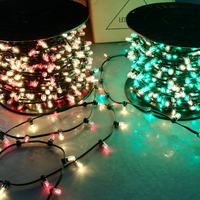 Guirlande lumineuse LED 12V en cristal de 100 m avec clips, 333 ampoules, lumières de jardin, lumières extérieures, guirlandes pour bâtiments