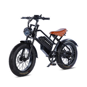 Bicicletta Elettrica Fat Tire da 500W e 20 Pollici Popolare in UE/Regno Unito con Motore al Mozzo Posteriore da 48V Luce LED Corno 7 Velocità per Ciclismo in Montagna Batteria al Litio - Product Image 2