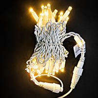 Hochwertige IP65 24V 10m Wasserdichte Verbindbare LED-Gummilichterkette für Weihnachtsbaum-Dekoration