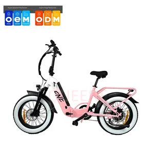 QUEENE Electric Fat Tire Bicycle Front Suspension Ebike With 48V 750W/1000W Rear Wheel Motor Lithium Battery Powered