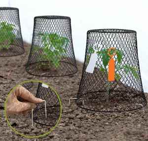 <b>Covers</b> Bulk Cloches Chicken Wire Protector Metal Heavy Duty Garden Plant Cloche for Keeping - Product Image 2
