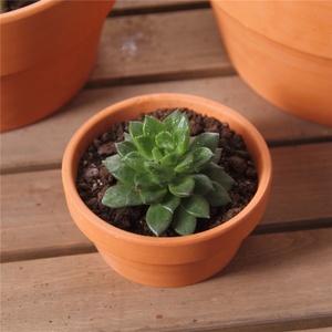 Pots de plantes en céramique terre cuite avec trou de drainage Mini conteneur pour <span class=keywords><strong>cactus</strong></span> succulent pour jardin domestique et plantes d'intérieur - Product Image 4