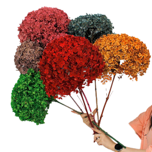 Vente d'usine fait à la main Real Touch stabilisé vert foncé <span class=keywords><strong>hortensia</strong></span> <span class=keywords><strong>fleurs</strong></span> conservées pour la décoration intérieure longue durée 3-5 ans - Product Image 1