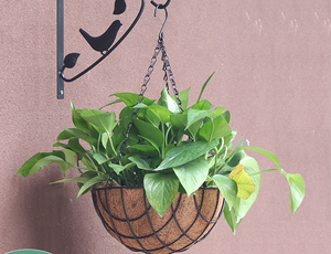 Pas Cher En Gros En Métal Fer Art Mur Jardin Cour Noix De <span class=keywords><strong>Coco</strong></span> Panier <span class=keywords><strong>Suspendu</strong></span> Planteur <span class=keywords><strong>Pot</strong></span> De Fleur - Product Image 2