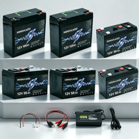 Paket Baterai LiFePO4 12V 50Ah Isi Ulang Siklus Dalam dengan Kabel Pengisi Daya untuk Sistem Tenaga Surya, Berkemah, dan Cadangan Daya