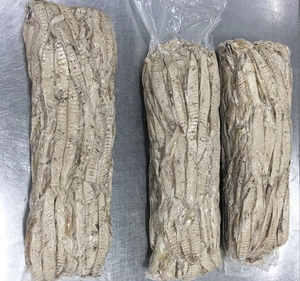 Saludable y Saludable Marisco Congelado Entero Redondo Bonito Atún Pescado <span class=keywords><strong>Skipjack</strong></span> - Product Image 2