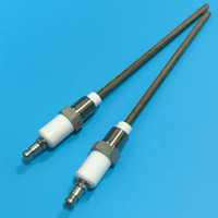 Allumeur céramique haute température pour brûleur industriel, broche d'induction de flamme filetée 1/4 NPT