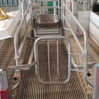 Cage à porcs à plancher en lattes pour animaux de porcherie Caisse de mise bas galvanisée pour truies