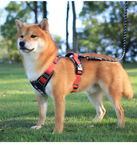 Arnés Reflectante Antipull para Perros con Soporte para <span class=keywords><strong>AirTag</strong></span>, Arnés Ajustable en Forma de Y Antiescape para Mascotas con Asa - Product Image 4