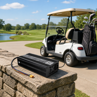 Chargeur de batterie au plomb-acide haute performance 600W avec 7 types de connecteurs en option