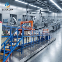 Ligne d'électrolyse au zinc entièrement automatique, machine de revêtement au chrome, dispositif d'électrolyse au zinc