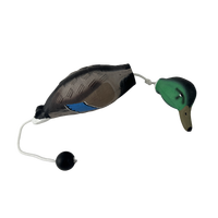 Vente directe d'usine, activité écologique, chiens robustes, formation interactive pour chiens de chasse, mannequin de canard en PU