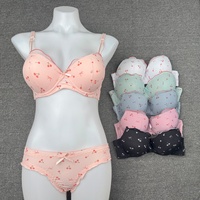 Ensemble de lingerie féminine en gros, imprimé mignon, soutien-gorge push-up à armatures avec bonnets rembourrés et culotte assortie, fabricant OEM ODM