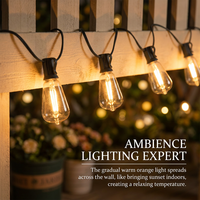 Guirlande lumineuse solaire d'extérieur LED ST38 Edison Bulb Smart IP44 en plastique décorative pour jardin, Noël, camping, patio