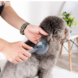Brosse Écologique Anti-Poils pour Animaux de Compagnie, en Acier Inoxydable, Idéale pour Nettoyer les Chats, les Chiens et les Petits Animaux – Meilleure Vente - Product Image 3