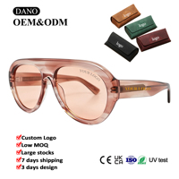 Nouvelles Lunettes de Soleil Vintage 2026 Unisexe Surdimensionnées à Verres Dégradés UV400 Monture Épaisse Tendance Personnalisables Logo Vente en Gros en Acétate