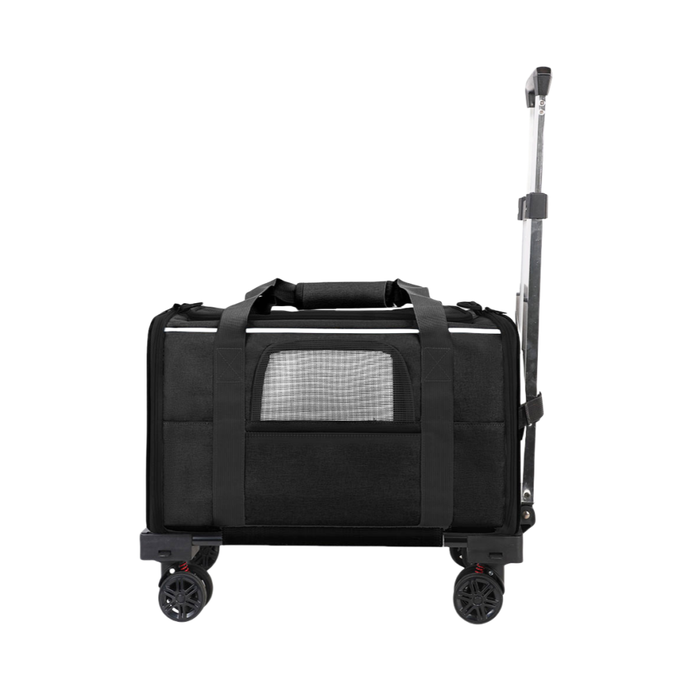 Noir avec garniture blanche