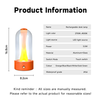 Lampe de table créative de luxe haut de gamme en verre moderne pour chambre à coucher, restaurant, décoration, vente en gros pour usage Internet, à piles