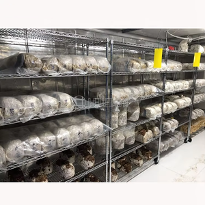 Étagères pour la culture de champignons, étagères commerciales à 6 niveaux avec étagères en fil métallique chromé pour la culture de champignons - Product Image 3
