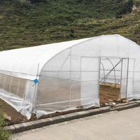 Serre Baolida à Grande Portée Unique 8x60m, Hauteur 3,5m avec Ventilation, Arche de 32mm, Raccords de Tuyaux Galvanisés – Direct Usine