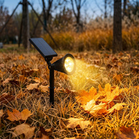 Iluminación Solar para Jardín, Luces Solares RGB para Exteriores, para Patio, Camino, Distribuidor de Marca Privada, Suministro al por Mayor