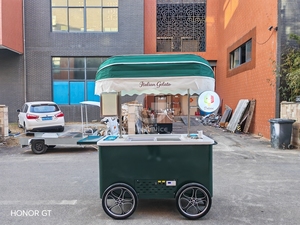 Chariot à glaces mobile personnalisé <span class=keywords><strong>de</strong></span> haute qualité avec réfrigérateur et équipement, chariot à pousser à la main pour l'extérieur - Product Image 6