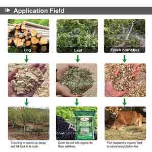 Excelente servicio posventa, <span class=keywords><strong>trituradora</strong></span> <span class=keywords><strong>de</strong></span> <span class=keywords><strong>martillos</strong></span> para azulejos, trituradoras <span class=keywords><strong>de</strong></span> bosques, troncos <span class=keywords><strong>de</strong></span> cepillado, <span class=keywords><strong>trituradora</strong></span> <span class=keywords><strong>de</strong></span> árboles, <span class=keywords><strong>trituradora</strong></span> <span class=keywords><strong>de</strong></span> árboles <span class=keywords><strong>de</strong></span> madera diésel - Product Image 2