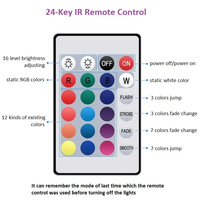 5M 10M RGB LED Smart Strip Lights Kit complet/ensemble 5050 musique Flexible IP65 LED Strip 24 Keys IR Remote Controller pour l'éclairage domestique