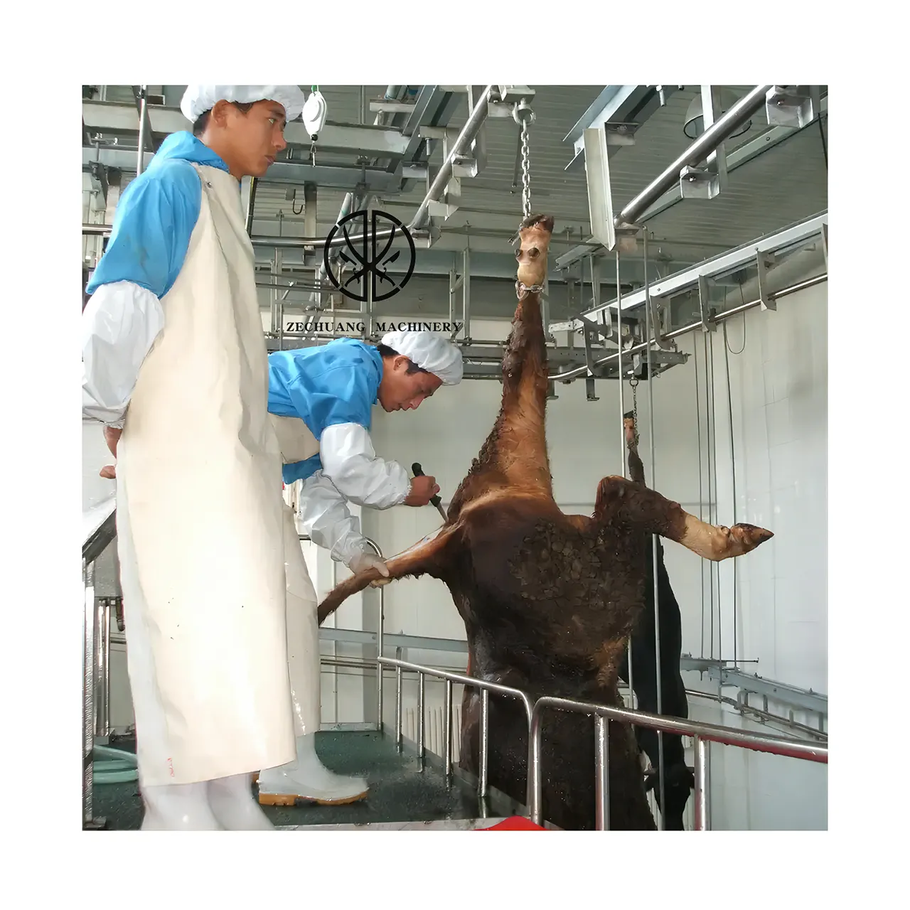 Nhà Máy Giá hồi giáo Halal 100 200 gia súc slaughterhouse thiết bị của bò chảy máu còng dưới cho thịt bò giết mổ máy
