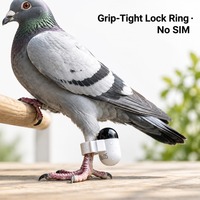 Bague électronique ultra-légère pour pigeon avec traceur GPS, boîtier IP67 et autonomie de 30 jours pour les colombiers de course