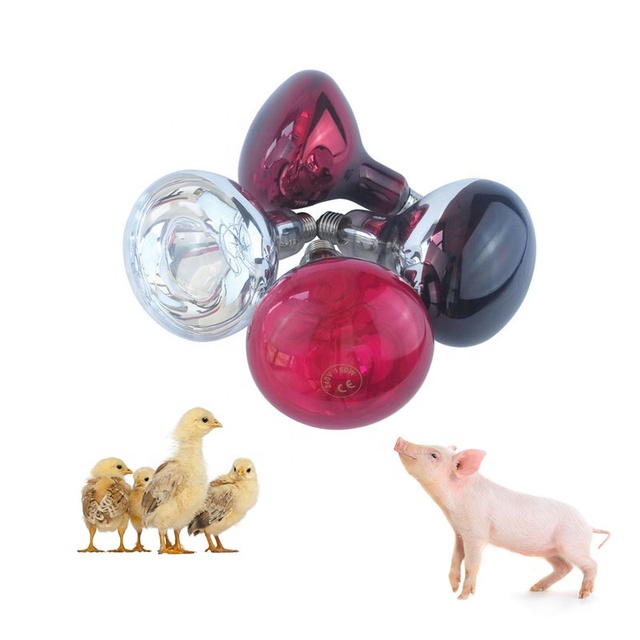 China Good Factory Price IR Light Infrared Lamp Infrared Heater Bulb R40 100W 150W 175W 250W Infrared Heat Lamp with CE RoHS ETL