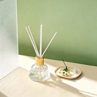 Diffuseur d'arômes sans flamme unique pour chambre et salon, parfum d'huiles essentielles, flacons en verre coniques
