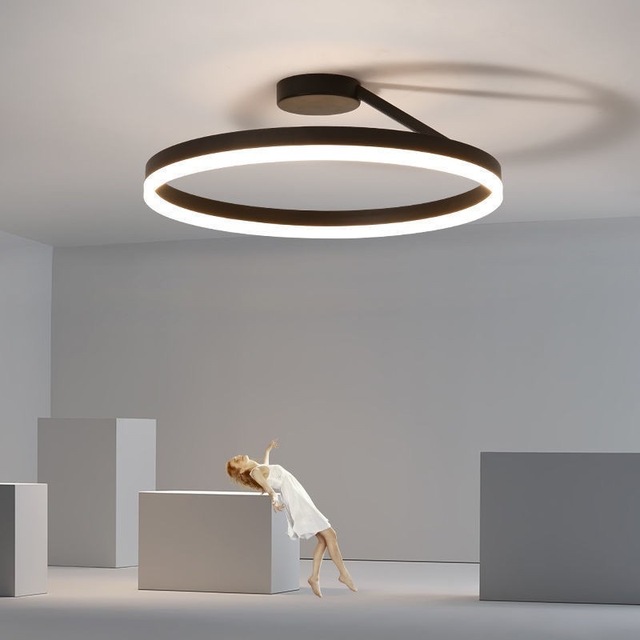 Minimalist Ceiling Lamp Circle Led Ceiling Light for Living Room Bedroom Restaurant Hall Minimalist Surface Mounted Aluminum