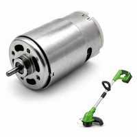 Moteur électrique micro-brossé DC haute vitesse 21V, petit modèle, fabricant OEM personnalisé, vente en gros SZPCDJ-PC-RK-755/750 pour usage automobile