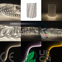 Bande LED à haut CRI 2835 2700K 24V 120LEDs/M 12W/M Ra90 IP20 50000 heures Dimmable Longueur personnalisée 90lm/W CE/RoHS/FCC
