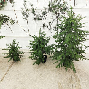 120CM/150CM/180CM Cyprès Artificiel Chauve pour Décorations de Noël Faux Cyprès des Marais Arbre de Noël - Product Image 1