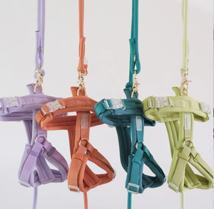 <span class=keywords><strong>2026</strong></span> डिजाइनर पालतू परिधान एक्सेसरीज थोक ठोस चमड़े के कुत्ते का उपयोग करते हुए पट्टे सेट ब्रेअवे कॉलर के लिए - Product Image 3