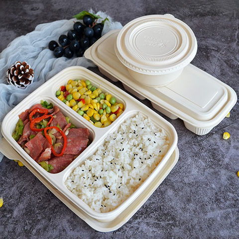 Biograde Fast Food Boxes Takeaway Packaging Disposable