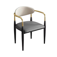 Chaise de salle à manger moderne et simple en métal, style luxe léger, avec dossier, pour la maison, le bureau, la cuisine, la table à thé, les réunions, style célébrité internet