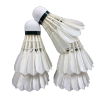 LINGSHANG LS800 Volants de badminton en plumes d'oie, tête en liège A+, 12 pièces, haute vitesse 75-78, entraînement et compétition professionnels